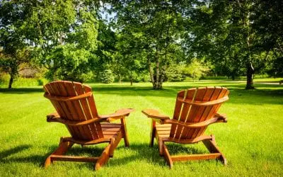 5 Summertime Lawn Care Tips for a Healthy Yard