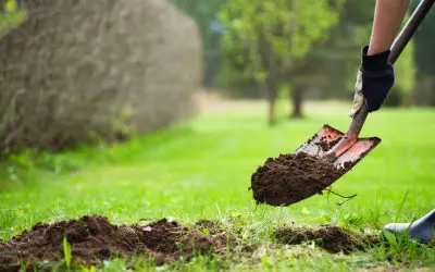 5 Ideas to Improve Drainage on Your Property