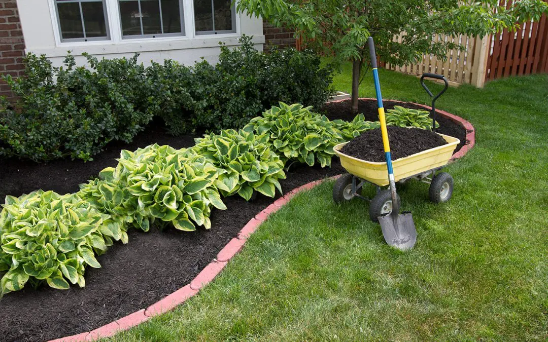 From Lawn to Landscape: A Homeowner’s Guide to Smarter Landscape Design