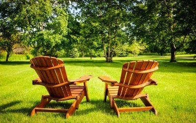 5 Summertime Lawn Care Tips for a Healthy Yard