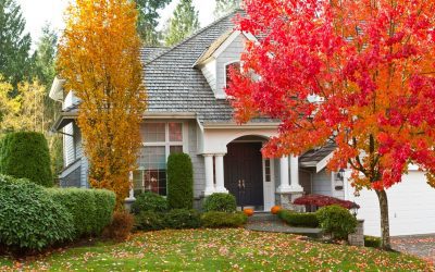 5 Ways to Improve Curb Appeal this Fall