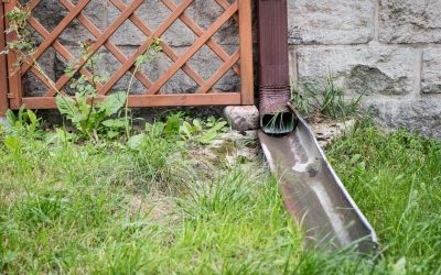 7 Tips for Outdoor Spring Cleaning and Maintenance