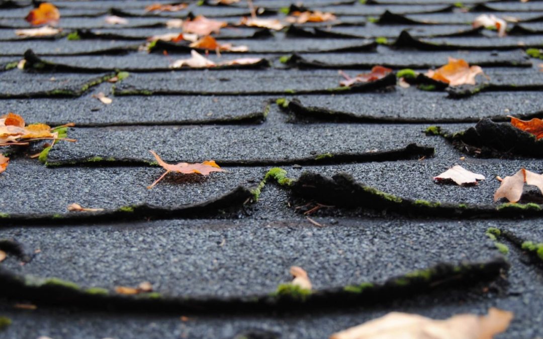 Exploring Home Roofing Materials: Pros and Cons